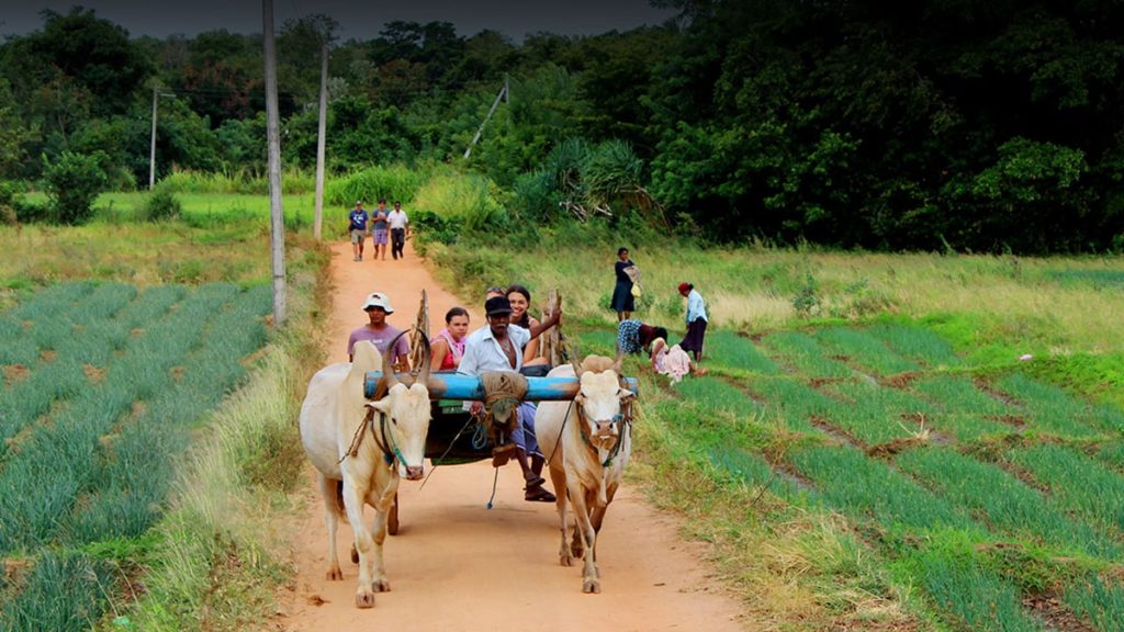 community based tourism in sri lanka